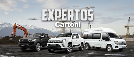 Expertos Cartoni